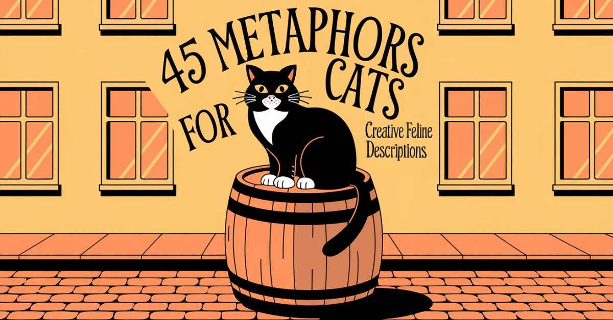 metaphors-for-cats